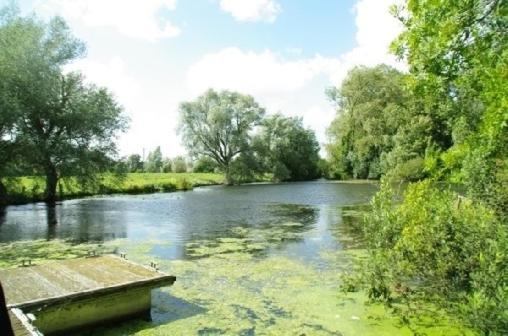 Le Cottage De L'Heron Moulle Экстерьер фото